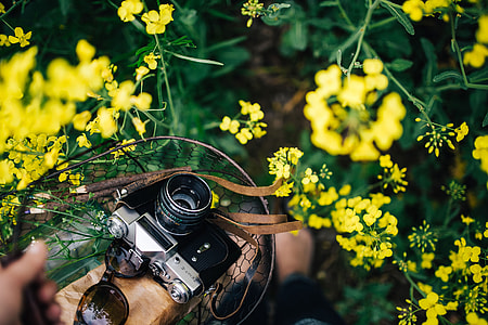 Woman with vintage camera in the field of blooming rapes thumbnail