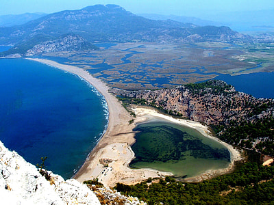 aerial view photography of sea and trees thumbnail