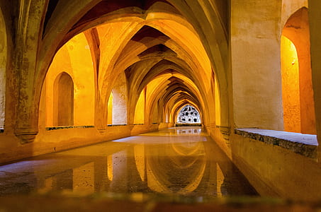 building pathway thumbnail