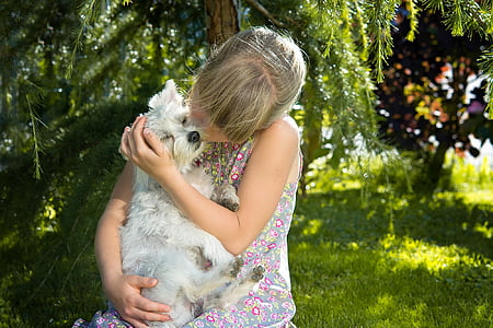 woman with blue floral sleeveless dress holding West Highland white terrier puppy close-up photography thumbnail