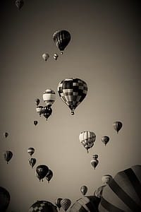 grayscale photo of hot-air balloons thumbnail