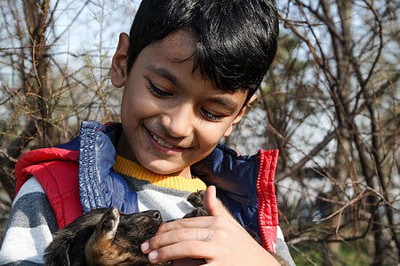 boy touching German shepherd puppy's mouth close-up photo thumbnail