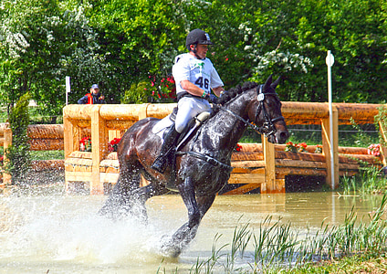 jockey on top of black horse while galloping above water at daytime thumbnail