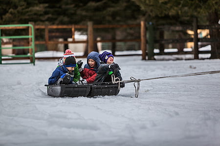 four children riding on sled thumbnail