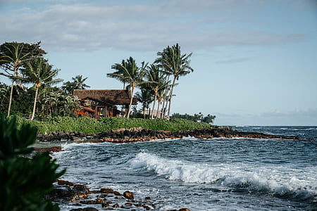 brown bungalow near body of water during daytime thumbnail