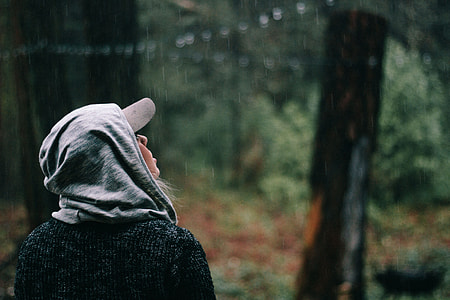 person staring on top of the tree thumbnail