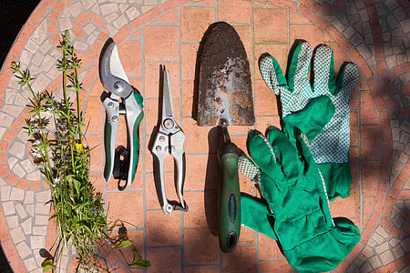pair of green gloves; stainless steel gardening tools thumbnail