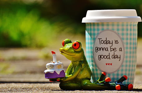 red tree frog holding birthday cake figurine beside spill-proof cup thumbnail