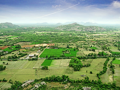 bird's eye view of grass field thumbnail