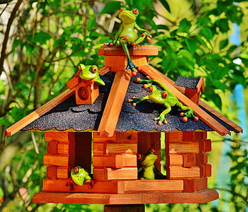 five green tree frogs thumbnail