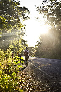 person walking on pathway thumbnail