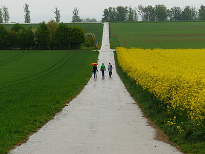 three person waling near flower field thumbnail