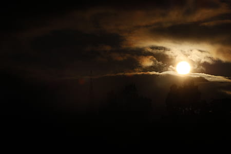 silhouette of trees during golden hour thumbnail