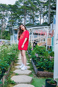 Woman Wearing Red Crew-neck Shirt Standing Between Plants Near Trees thumbnail