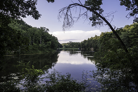 Stewart Lake Between the trees landscape thumbnail