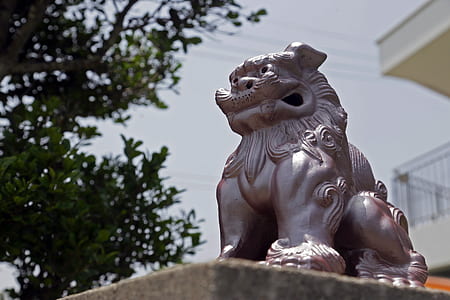 selective focus photography of Chinese guardian lion statue thumbnail