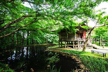 brown wooden house near body of water during daytime thumbnail