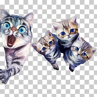 American Shorthair Bengal Cat Kitten Tabby Cat Whiskers Mother