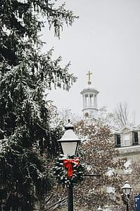 lamp post with red wreath thumbnail