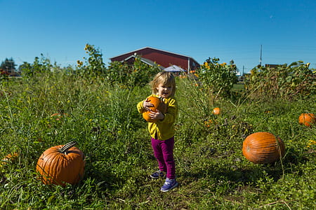 child carrying pumpkin outdoors thumbnail