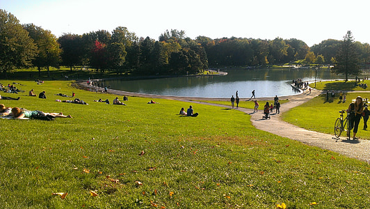 people walking on grassfield thumbnail