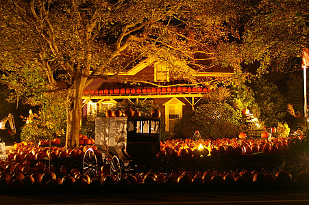 photo of Halloween-themed house during nighttime thumbnail