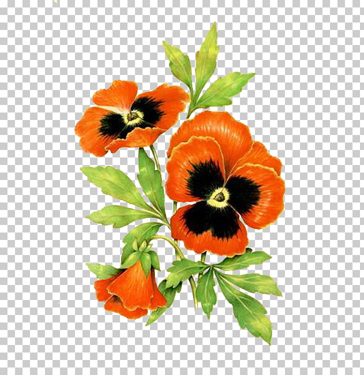 pansy flower paper flower png clipart free cliparts uihere flower paper clip