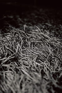 Grey rug texture closeup thumbnail