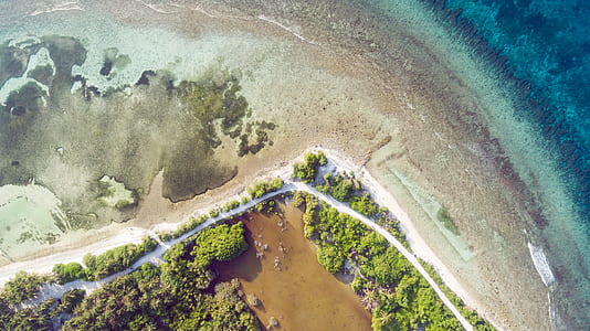 aerial photography of seashore at daytime thumbnail