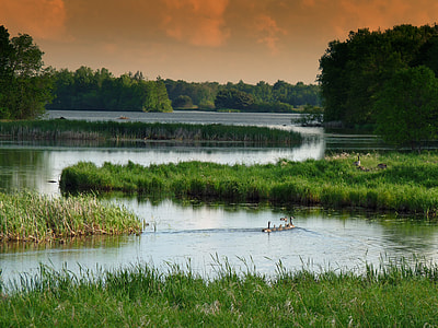 landscape photograph of duck and ducklings on lake thumbnail