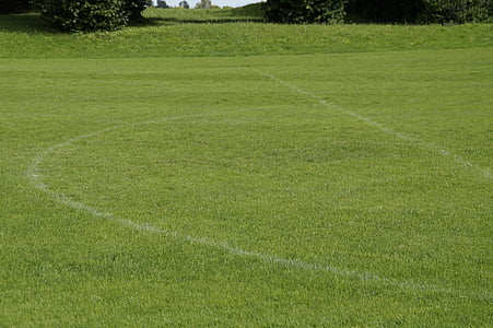 manicured lawn thumbnail