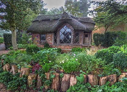 brown cabin surrounded green plants thumbnail