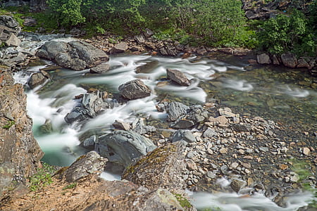 green leafed plants beside river at daytime thumbnail