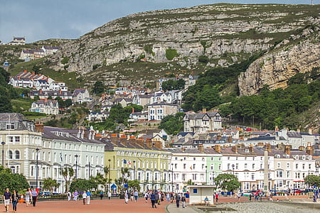 group of people near white houses thumbnail