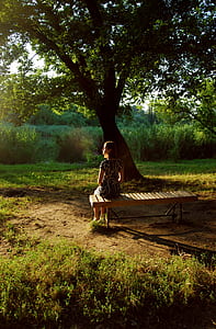 woman sitting on wooden bench under tree thumbnail