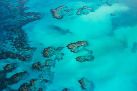 aerial photography of body of water at daytime thumbnail