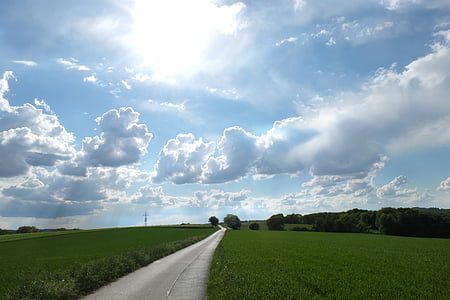 photo of pathway between green grass at daytime thumbnail