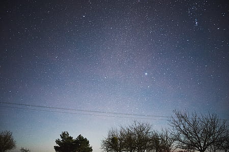 silhouette of trees under nightsky thumbnail