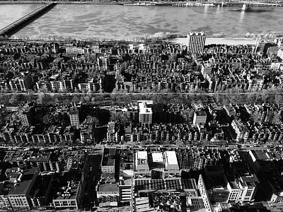 grayscale photography of city buildings thumbnail