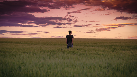 man in grassfield during sunset thumbnail