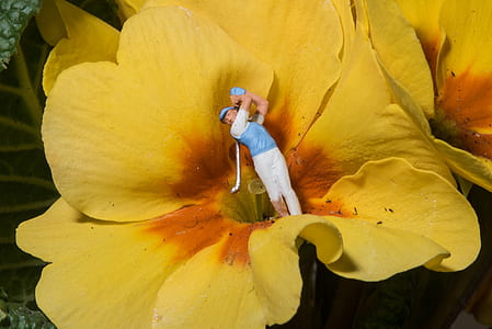 golf player figurine at yellow hibiscus thumbnail