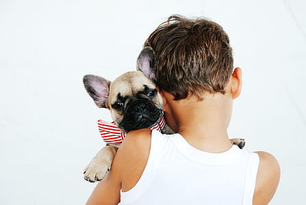 boy wearing white tank top carrying short-coated tan puppy with red and white striped collar thumbnail