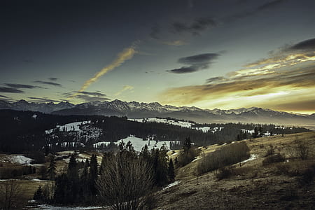 mountain surrounded by trees during sunset thumbnail