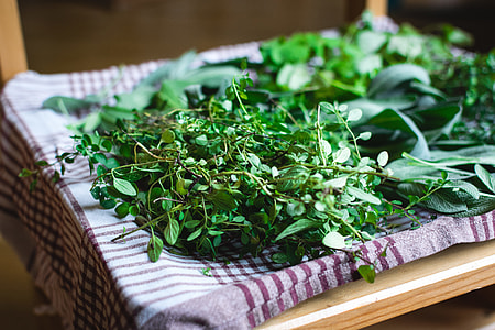 Different kinds of fresh herbs thumbnail
