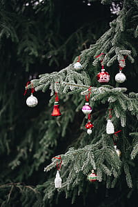 Old-fashioned Christmas tree ornaments thumbnail