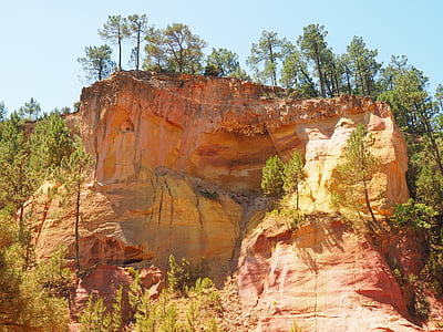 trees growing on rock cliff thumbnail