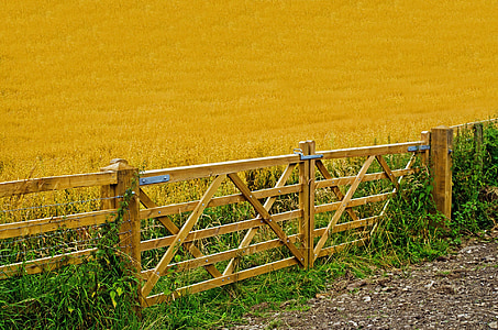 brown wooden fence gate thumbnail