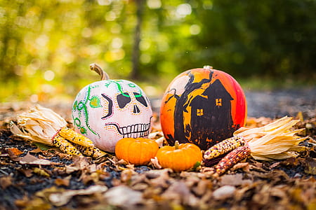 white skull and haunted house jack-o-lanterns on ground thumbnail