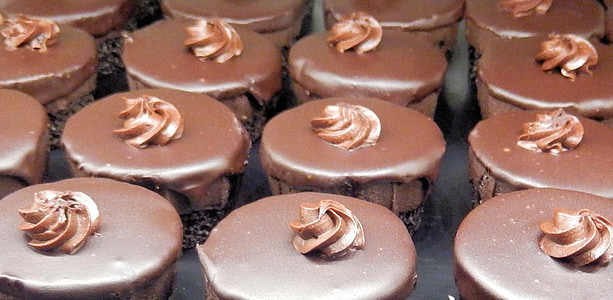 several chocolate cupcakes thumbnail