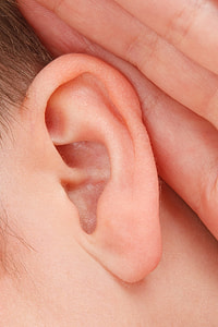 close up photo of human left ear thumbnail